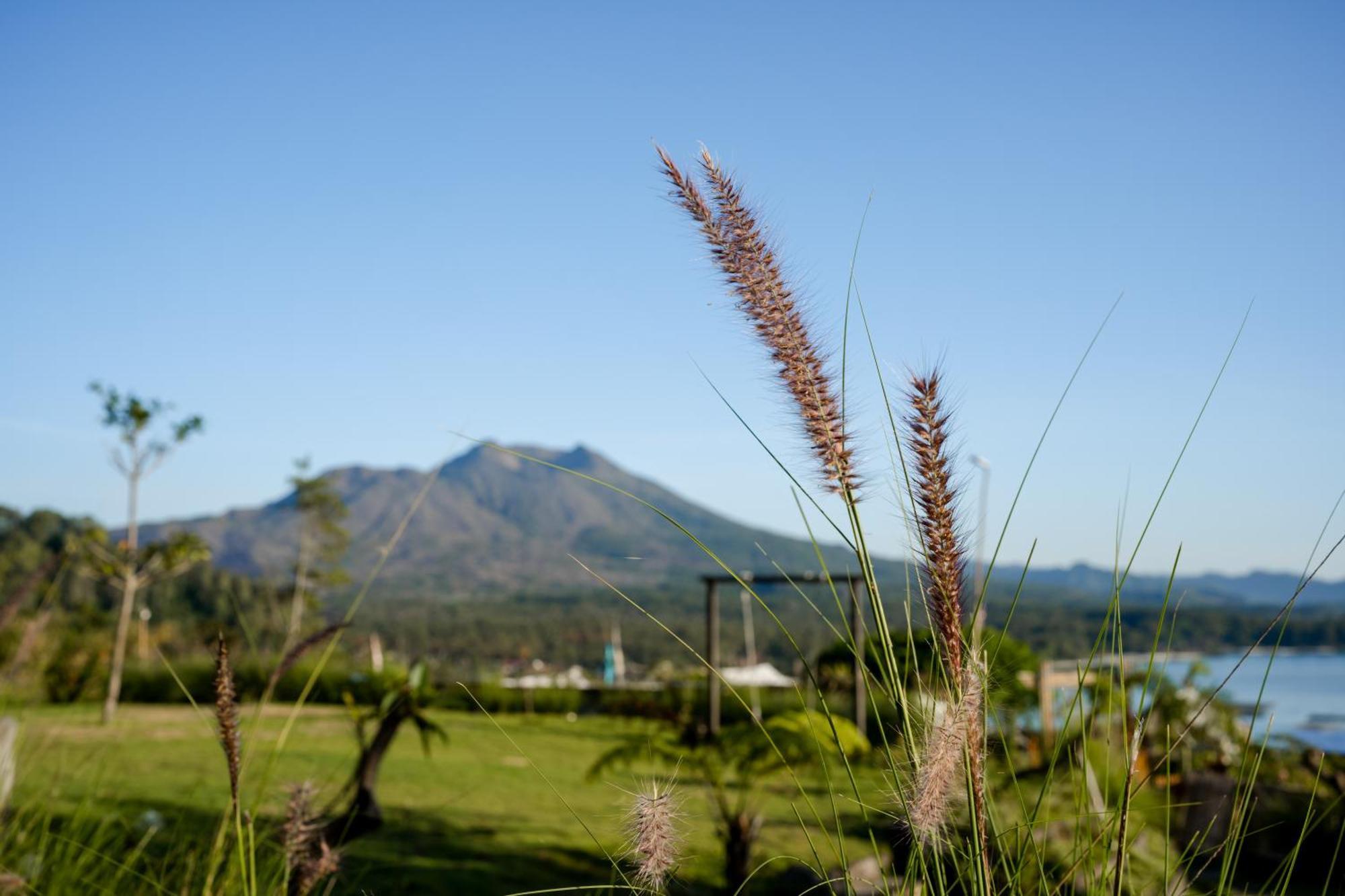 Samuh Camp Kintamani Hotel Ngoại thất bức ảnh